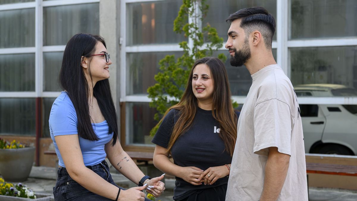 Facultatea de Management în Producție și Transporturi (MPT)